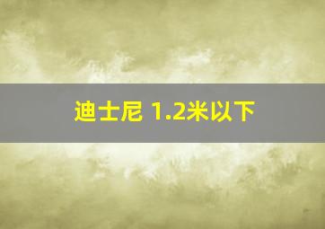 迪士尼 1.2米以下